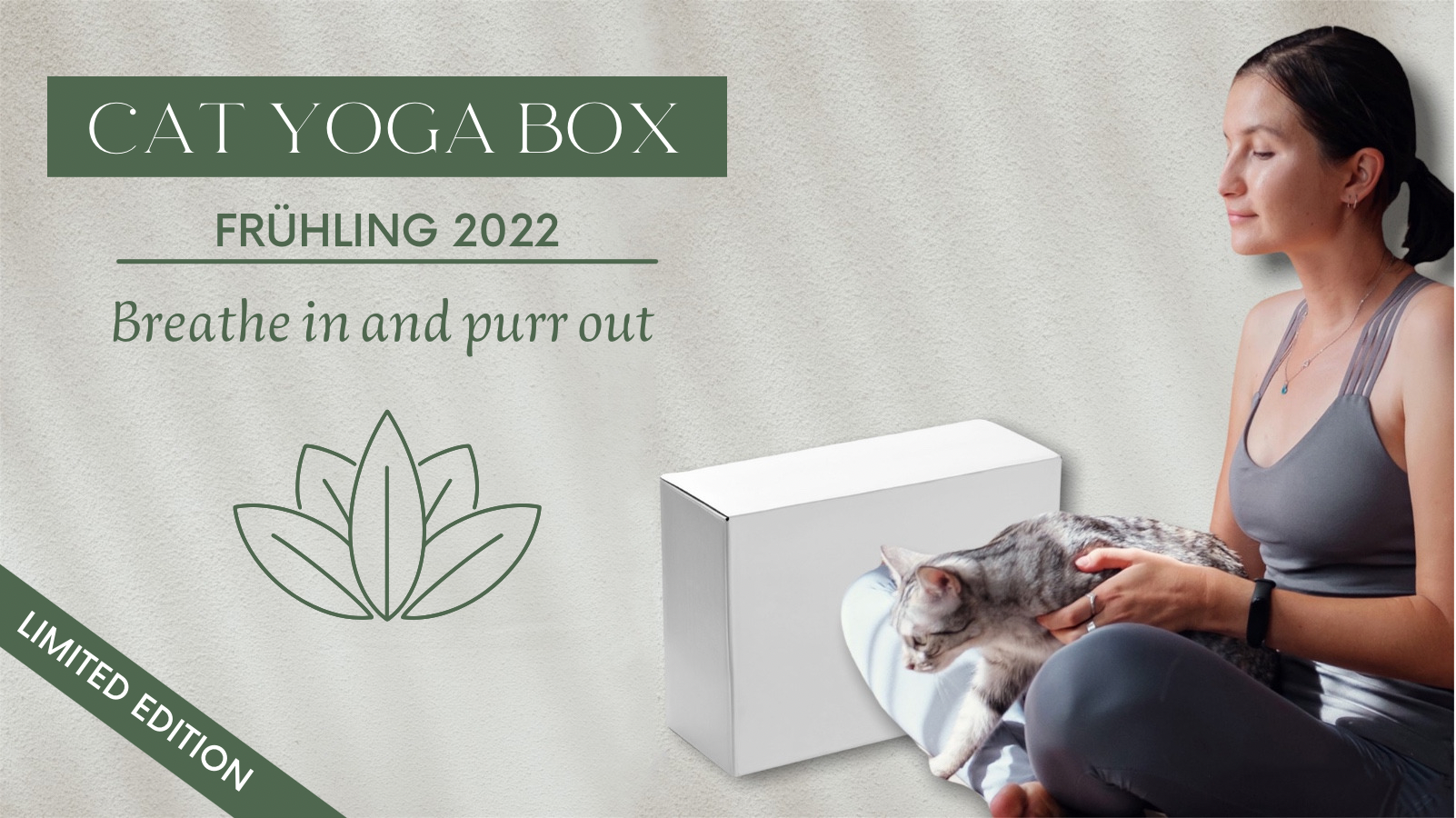 Cat-Yoga-Box