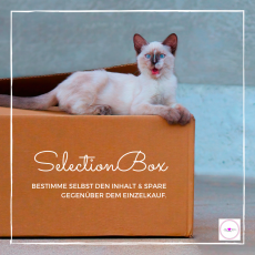 SelectionBox für Katzen