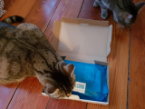 Überraschungsbox für Katzen